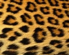 Lepard rug