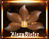 !AS! Elegant flowers ch.