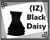 (IZ) Black Daisy