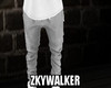 ▲-Zkywalker