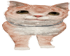 Tabby Cat