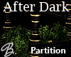*B* After Dark Partition