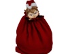 CHRISTMAS GIFT 500