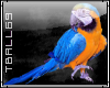 parrot sticker