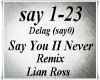 Say You II Never Remix
