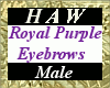 Royal Purple Eyebrows M