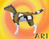 African Cape Hunting Dog