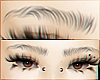 Natural Brows B/3