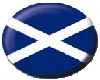 St Andrews flag button