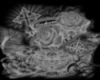 JN Name Body Tattoo