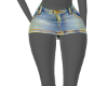 Holster Skirt