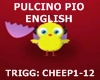Pulcino Pio English 