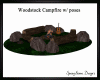 Woodstock Campfire w/Pos