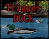 Animated - trigger: DUCK