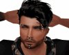 Septum Derivable