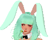 {ID} Mint Bunny Ears