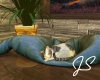 ~JS Sleepy Kitty White 2