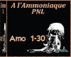 PNL - A l'Ammoniaque
