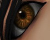 Golden Copper Eyes M