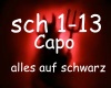 Alles auf schwarz - CAPO