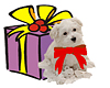 Christmas Puppy Gift