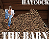 [M] The Barn - Haycock