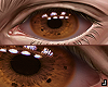 _ Eyes Brown Realistic