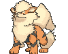 Animated Arcanine