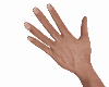 REALISTIC/PERFECT HANDS