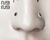 ╋━ nose studs