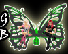[GB] Dev Butterfly Bench
