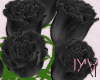 Aki 7 Pose Roses Black