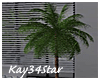 Modern Palm Tree & Stand