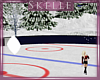 [SK] Derv. Skating Rink