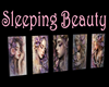 5pc Sleeping Beauty Art