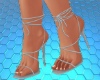 Gray Heels