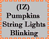 (IZ) Pumpkins Lights Ani