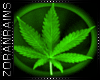 lZl Weed Med Plugs
