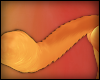 G|Pumpkin Tail 06
