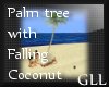 GLL Falling Coconut