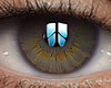Eyes