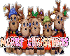 Merry Cmas Reindeer