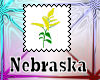 Nebraska state flower