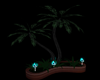 ~ScB~Palm Tree Poses