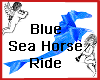 Blue Sea Horse Ride