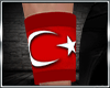 Turkey bangle Right [MF