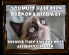 Z Grumpy Cat Frame 26
