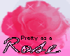 Pretty As A Rose...