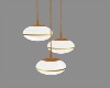 LWR}Elegant Hang Lamp