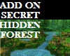 HIDDEN SECRET FOREST